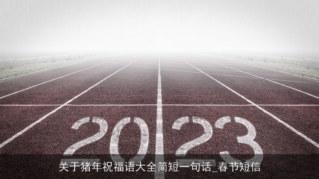 关于猪年祝福语大全简短一句话_春节短信
