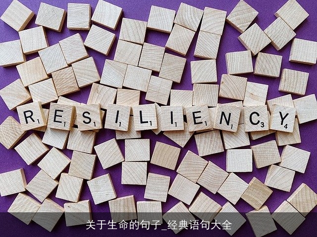 关于生命的句子_经典语句大全