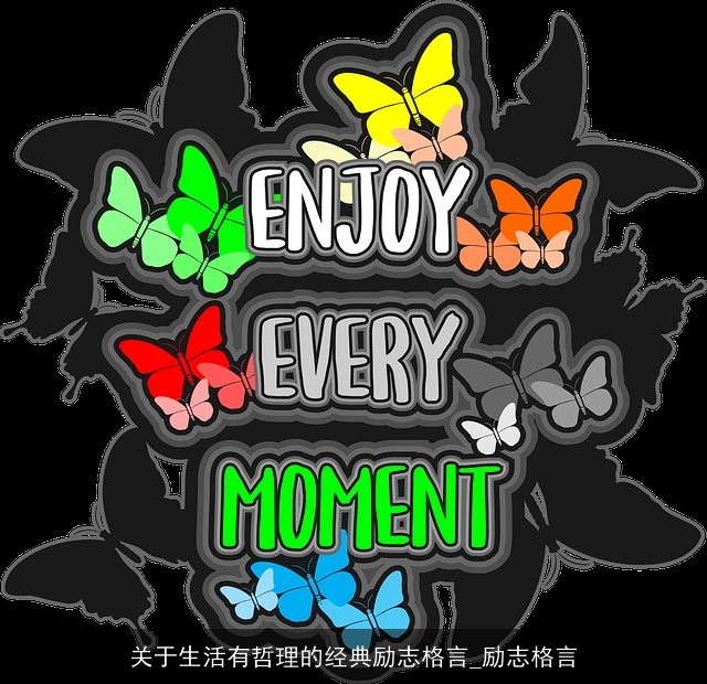 关于生活有哲理的经典励志格言_励志格言