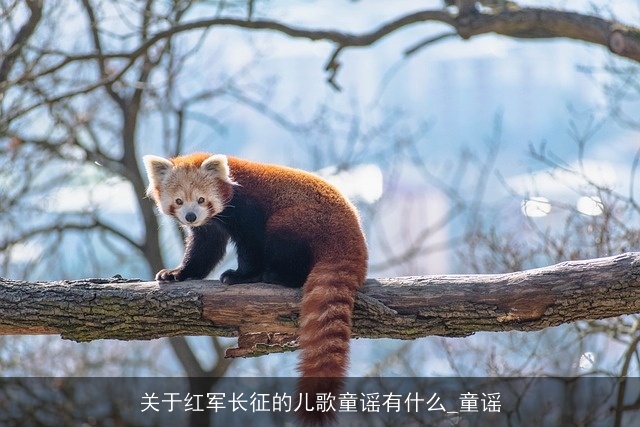 关于红军长征的儿歌童谣有什么_童谣