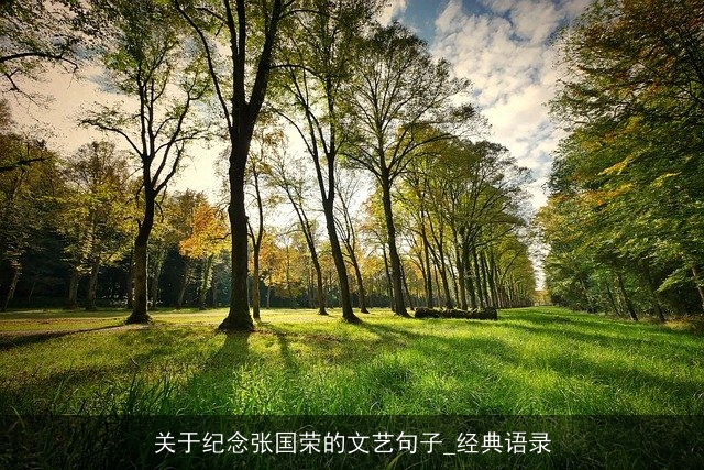 关于纪念张国荣的文艺句子_经典语录