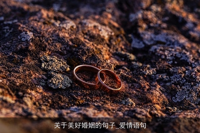 关于美好婚姻的句子_爱情语句