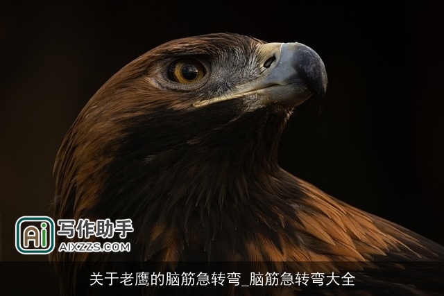 关于老鹰的脑筋急转弯_脑筋急转弯大全