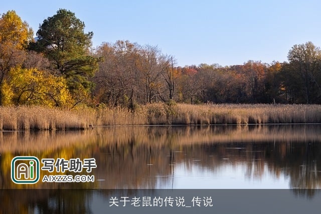 关于老鼠的传说_传说