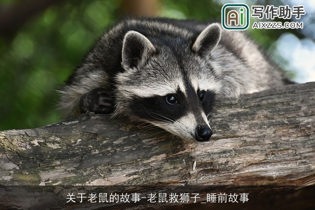 关于老鼠的故事-老鼠救狮子_睡前故事