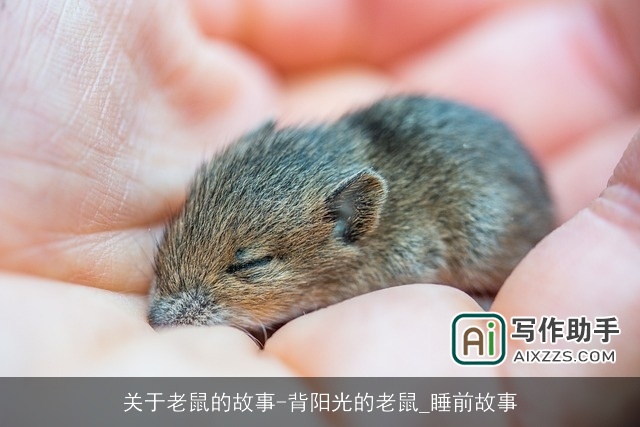 关于老鼠的故事-背阳光的老鼠_睡前故事