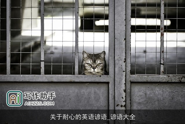 关于耐心的英语谚语_谚语大全