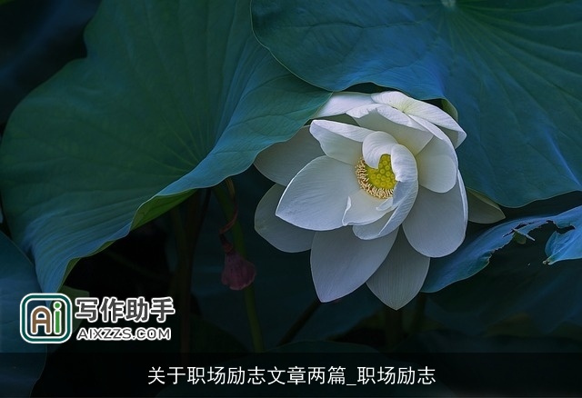 关于职场励志文章两篇_职场励志