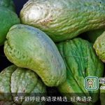 关于舒婷经典语录精选_经典语录