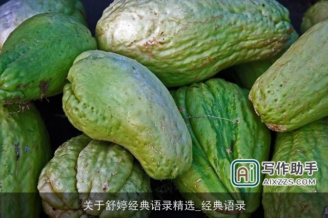 关于舒婷经典语录精选_经典语录