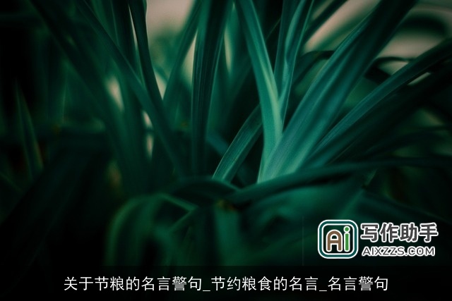 关于节粮的名言警句_节约粮食的名言_名言警句