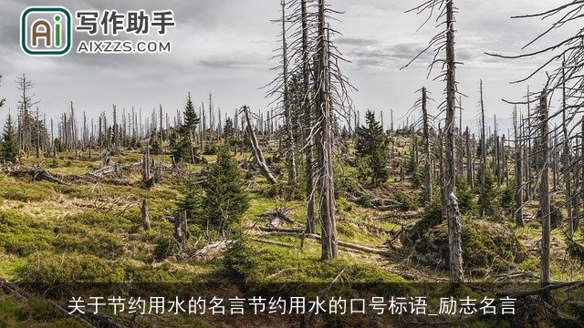 关于节约用水的名言节约用水的口号标语_励志名言