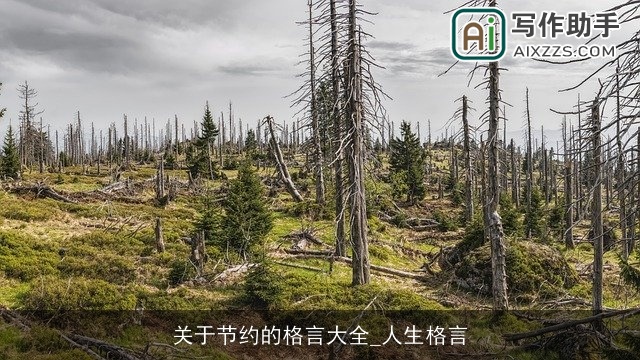 关于节约的格言大全_人生格言