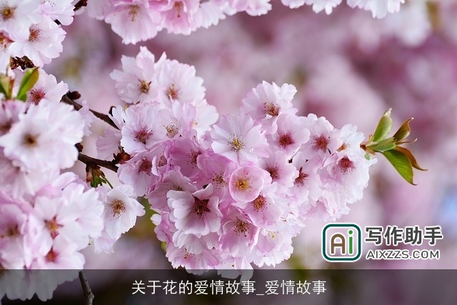 关于花的爱情故事_爱情故事