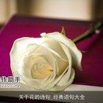 关于花的诗句_经典语句大全