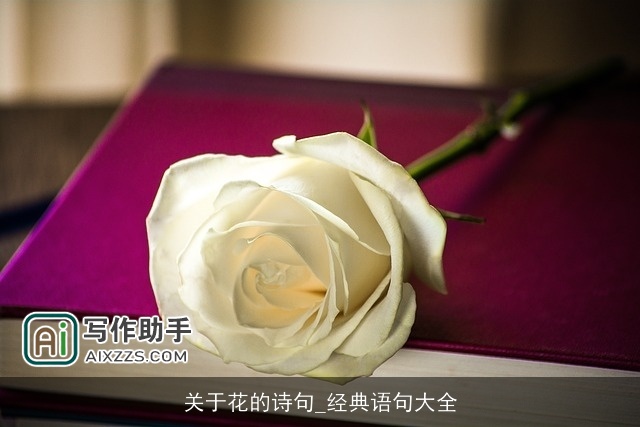 关于花的诗句_经典语句大全