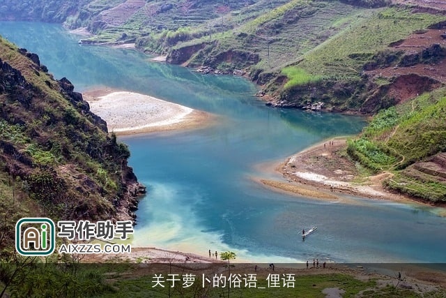 关于萝卜的俗语_俚语