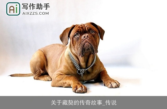 关于藏獒的传奇故事_传说