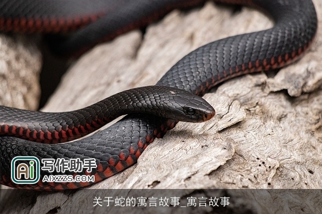 关于蛇的寓言故事_寓言故事