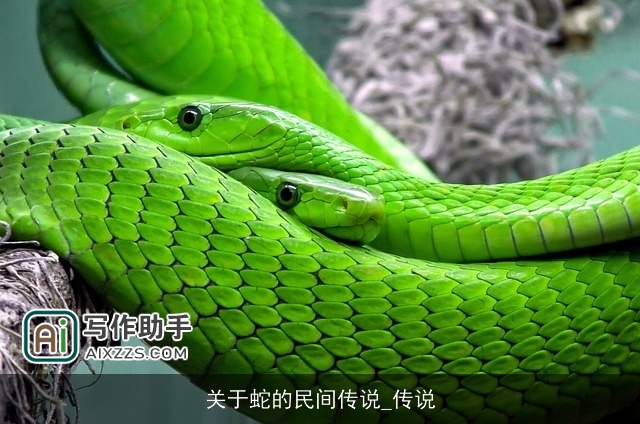关于蛇的民间传说_传说