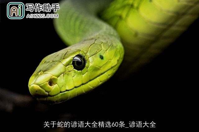 关于蛇的谚语大全精选60条_谚语大全