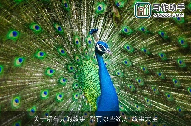 关于诸葛亮的故事_都有哪些经历_故事大全