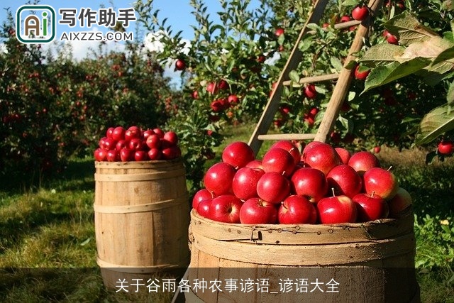 关于谷雨各种农事谚语_谚语大全