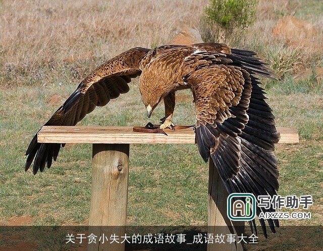 关于贪小失大的成语故事_成语故事大全