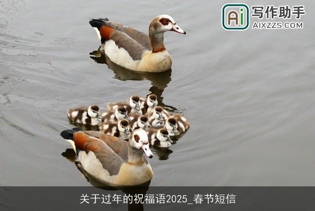 关于过年的祝福语2025_春节短信