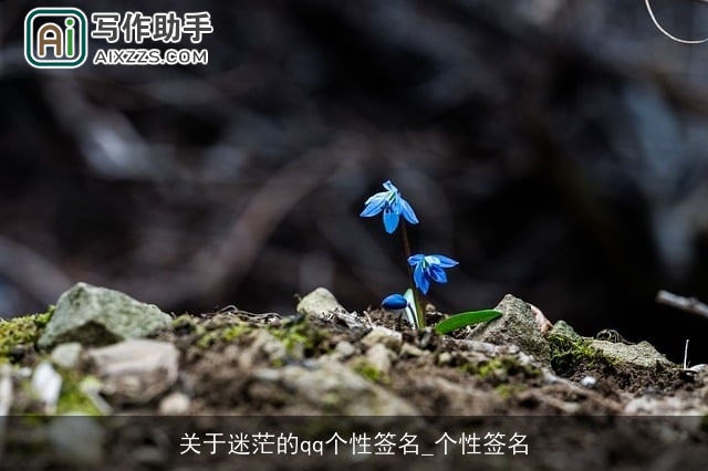 关于迷茫的qq个性签名_个性签名