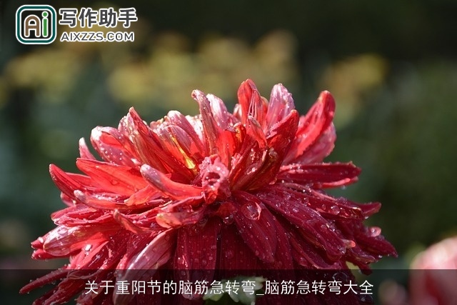 关于重阳节的脑筋急转弯_脑筋急转弯大全