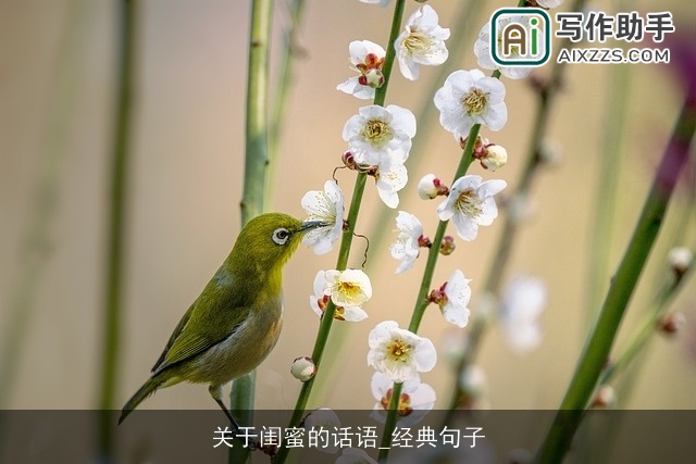 关于闺蜜的话语_经典句子