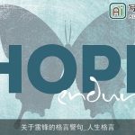 关于雷锋的格言警句_人生格言