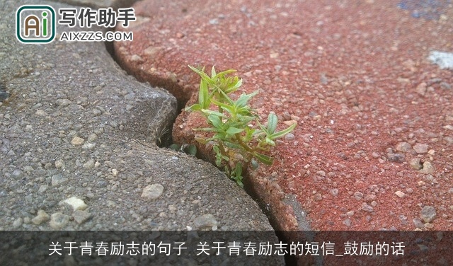 关于青春励志的句子 关于青春励志的短信_鼓励的话