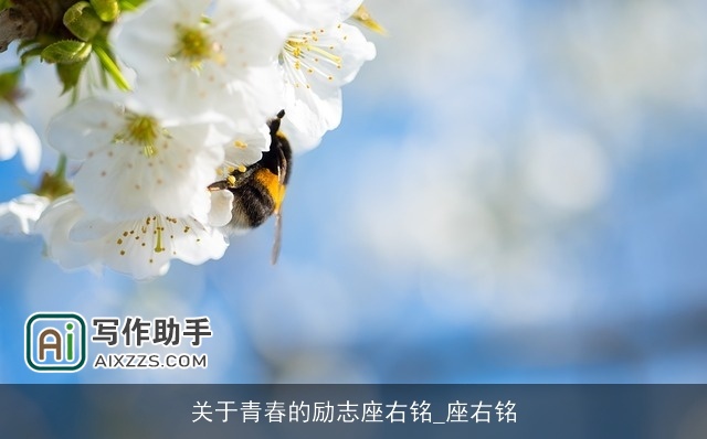 关于青春的励志座右铭_座右铭