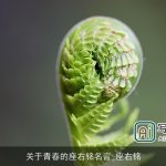 关于青春的座右铭名言_座右铭