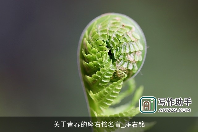关于青春的座右铭名言_座右铭