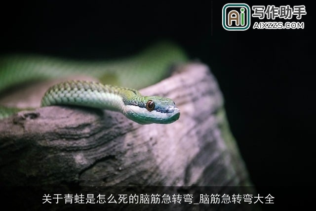 关于青蛙是怎么死的脑筋急转弯_脑筋急转弯大全