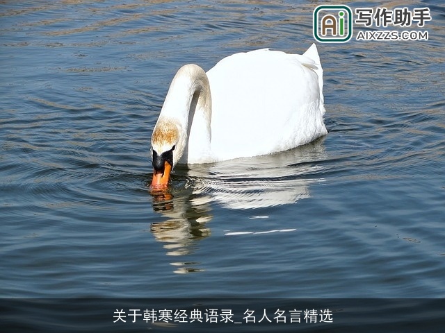 关于韩寒经典语录_名人名言精选
