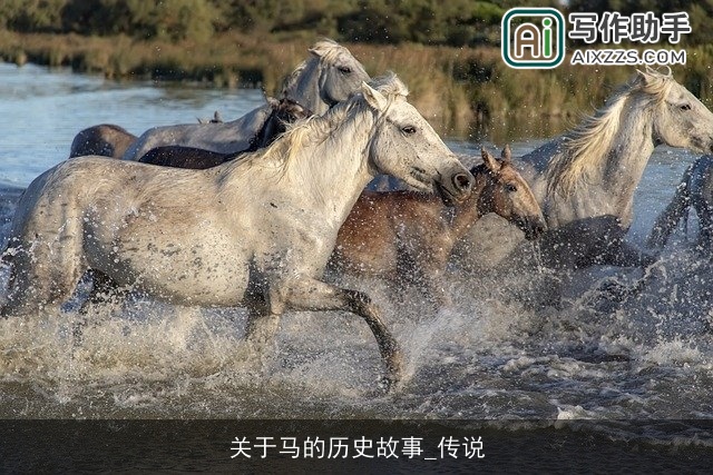 关于马的历史故事_传说