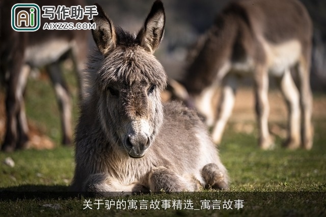 关于驴的寓言故事精选_寓言故事