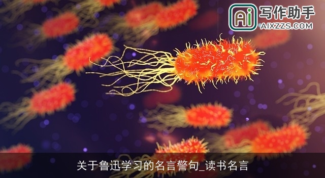 关于鲁迅学习的名言警句_读书名言