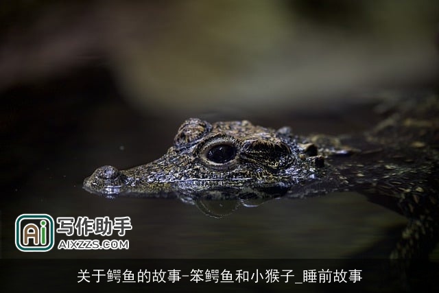 关于鳄鱼的故事-笨鳄鱼和小猴子_睡前故事