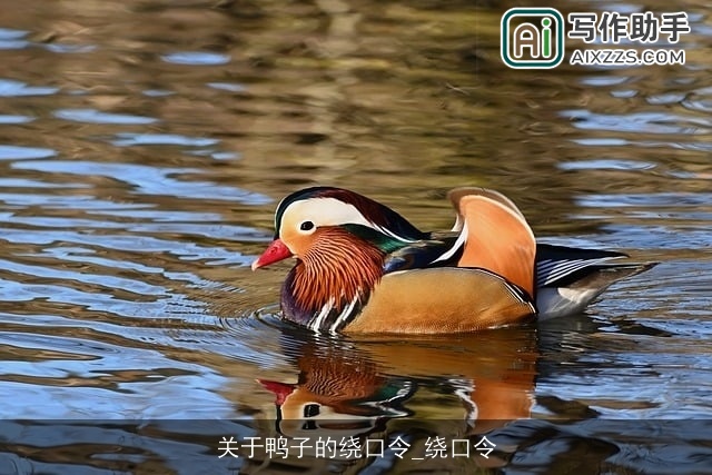 关于鸭子的绕口令_绕口令