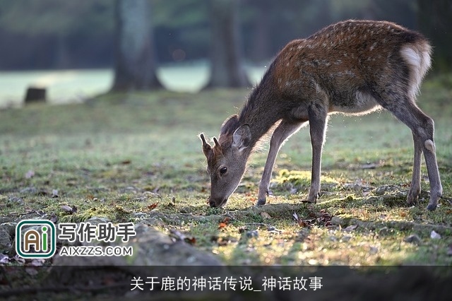 关于鹿的神话传说_神话故事