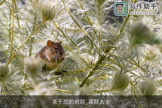 关于鼠的对联_春联大全