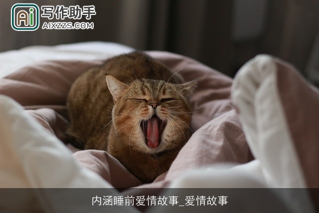 内涵睡前爱情故事_爱情故事