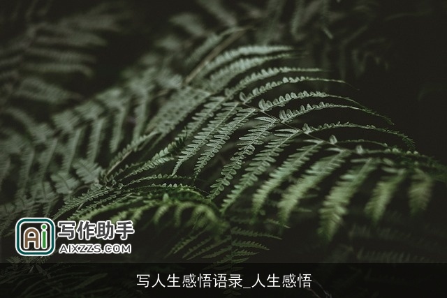 写人生感悟语录_人生感悟