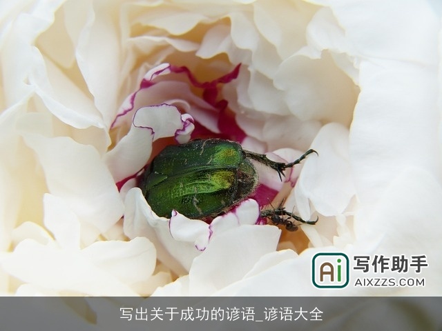 写出关于成功的谚语_谚语大全