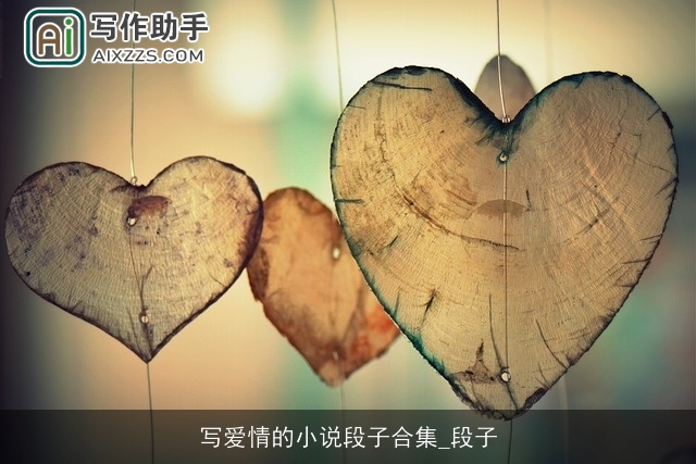 写爱情的小说段子合集_段子